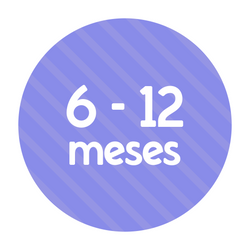 6-12 meses